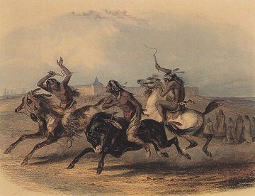 Karl Bodmer, caza de caballo en la regin
                          del Fort Pierre - robo de caballos fue una
                          tradicin, tambin el comercio de truque de
                          nios con caballos